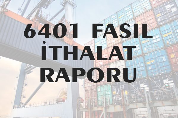 6401 Fasıl İthalat Raporu