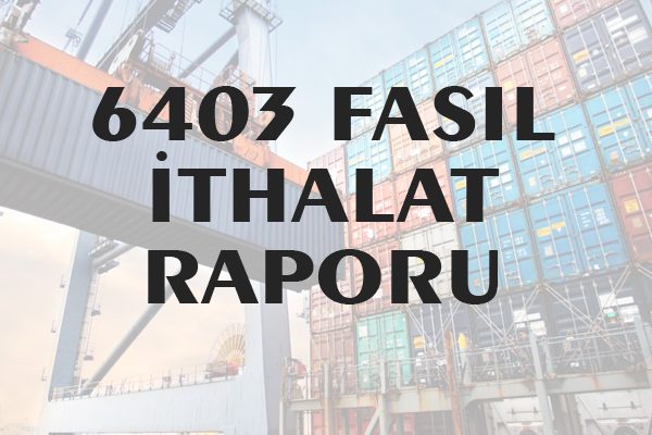 6403 Fasıl İthalat Raporu