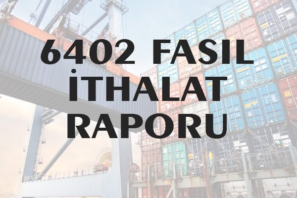 6402 Fasıl İthalat Raporu