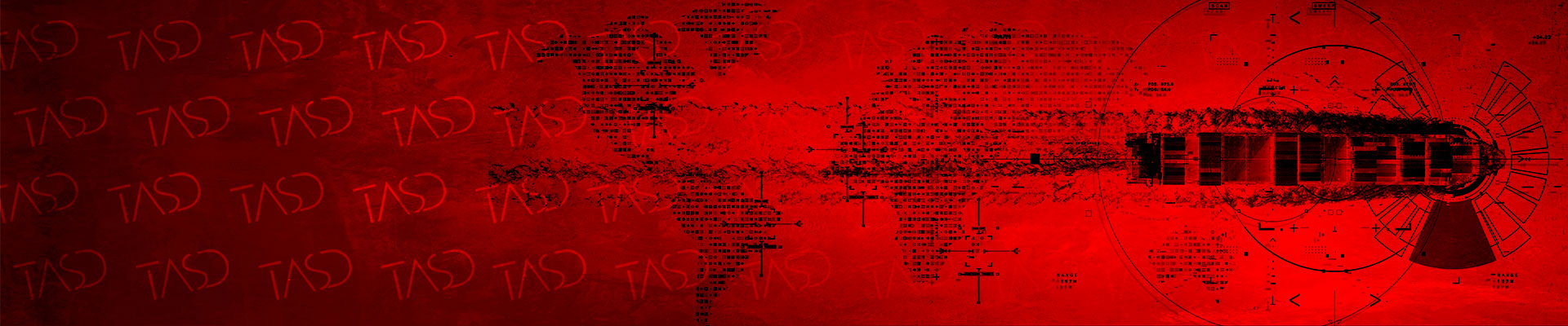 Export Reports